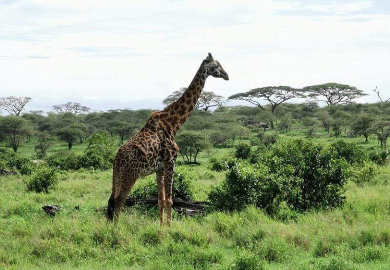 IMG_20191201_102337-scaled