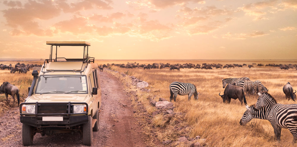 Discover Tanzania with us