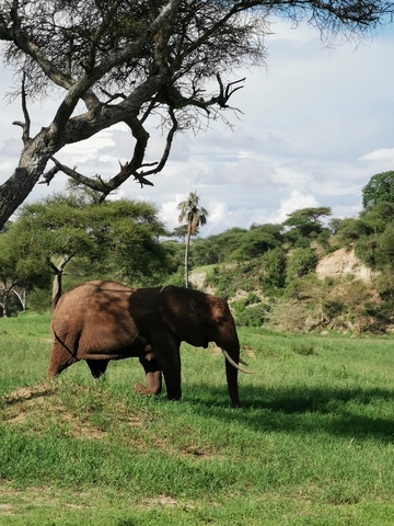 IMG_20191129_155409_Easy-Resize.com