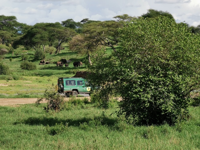 IMG_20191129_155631_Easy-Resize.com