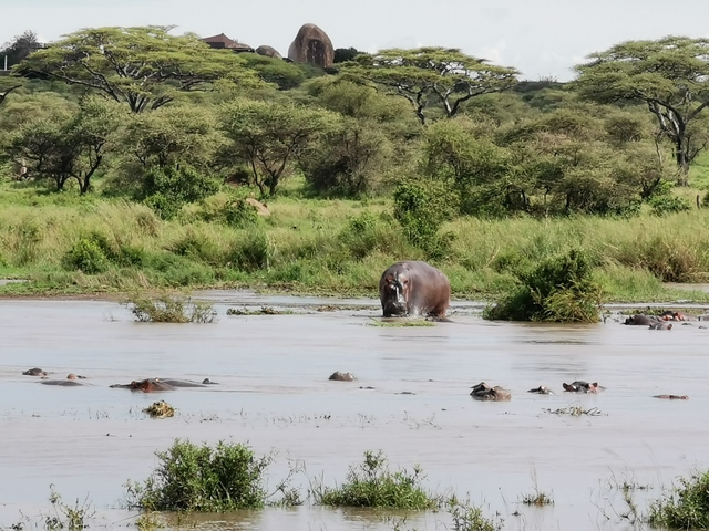 IMG_20191201_100656_Easy-Resize.com