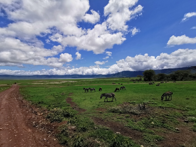 IMG_20191202_123642_Easy-Resize.com