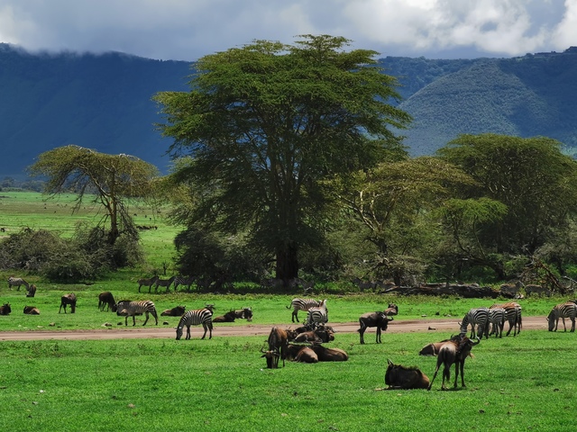 IMG_20191202_123704_Easy-Resize.com