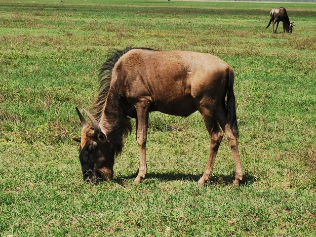 IMG_20191202_140433_Easy-Resize.com