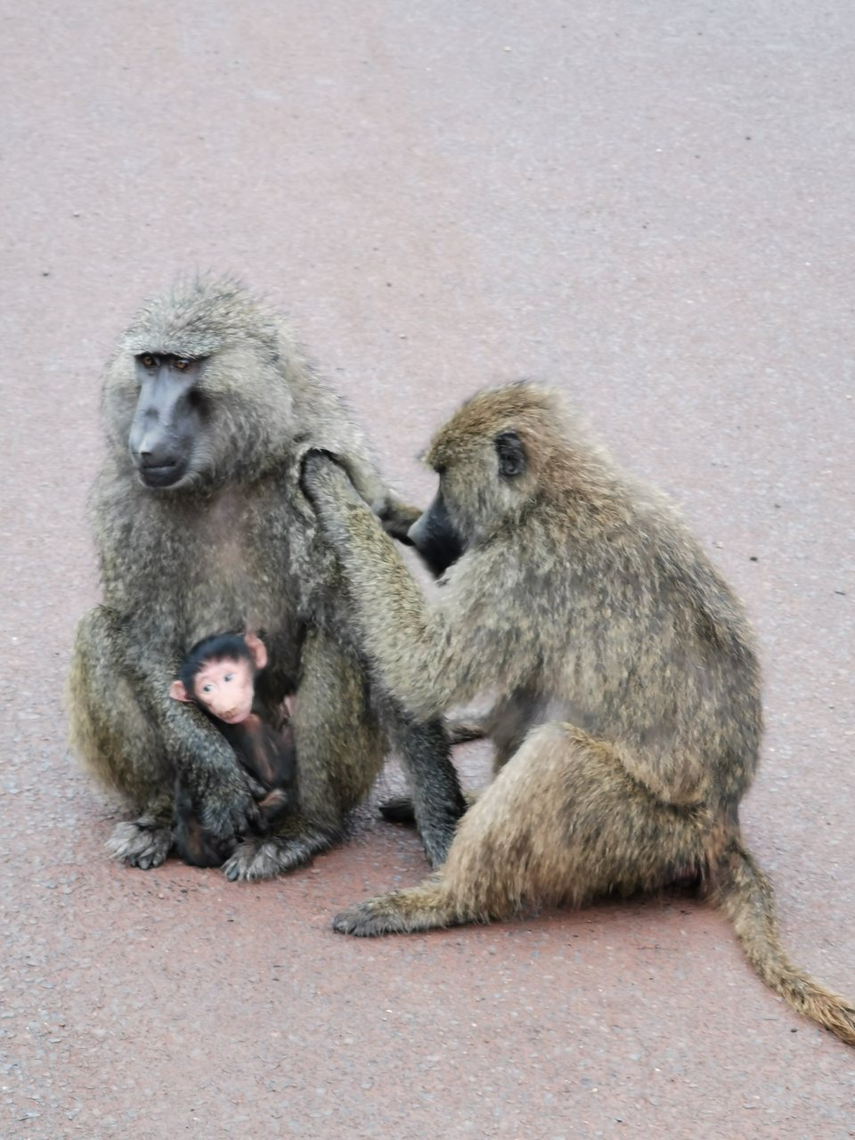 IMG_20191130_112759_Easy-Resize.com