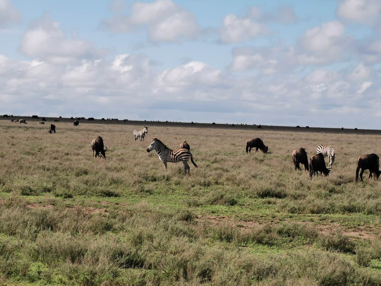 IMG_20191202_085818_Easy-Resize.com