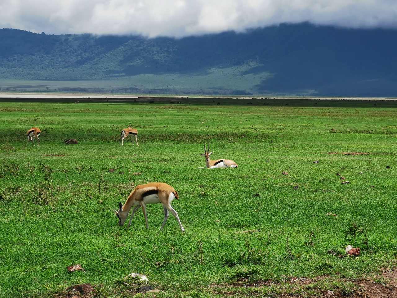 IMG_20191202_130253_Easy-Resize.com