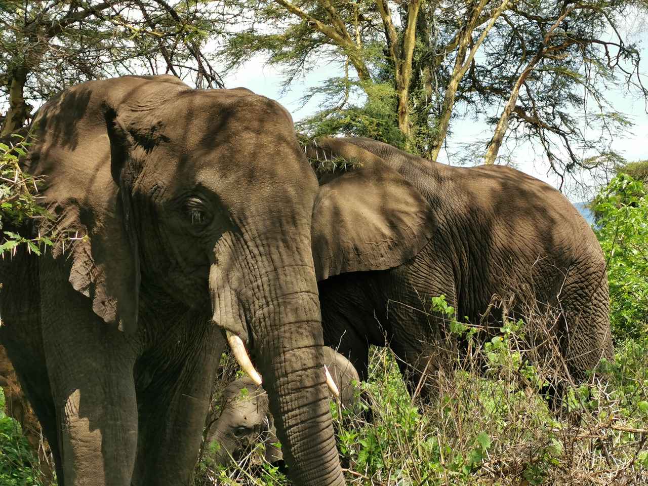 IMG_20191202_131452_Easy-Resize.com