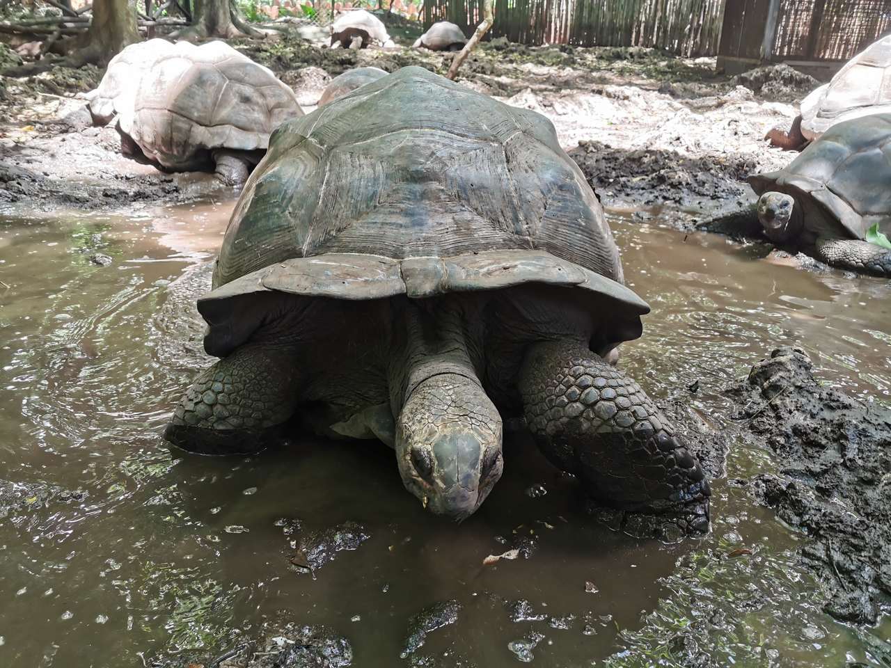 IMG_20191206_122154_Easy-Resize.com