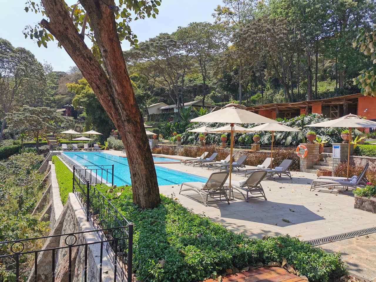 IMG_20201007_141540_Easy-Resize.com