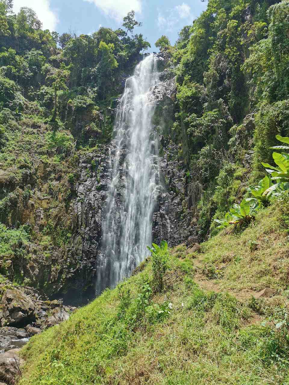 IMG_20201008_123557_Easy-Resize.com