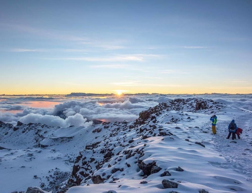 ee5278d6-02cf-46d8-bfed-40af30d7f667