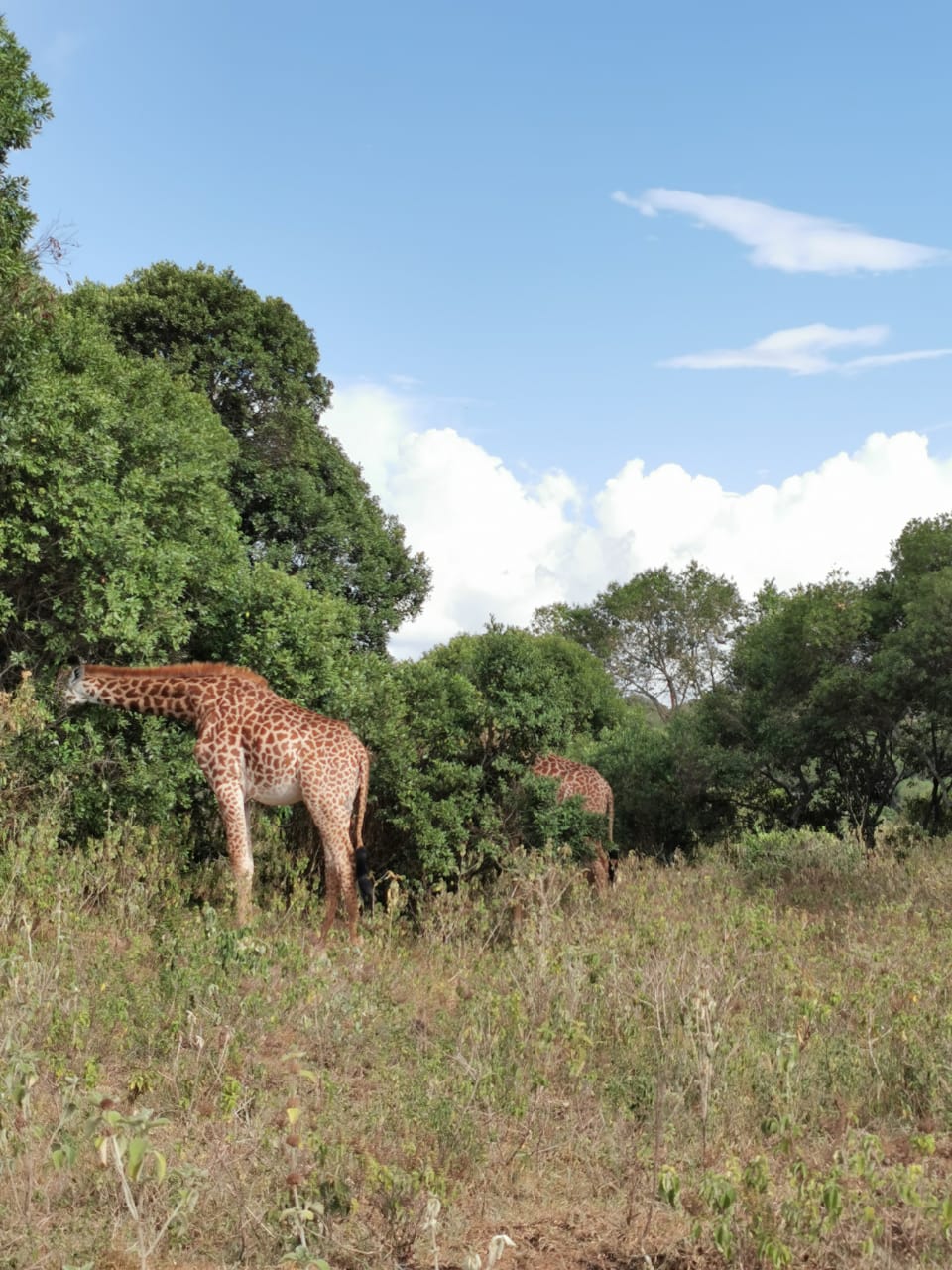 IMG-20220327-WA0035-min