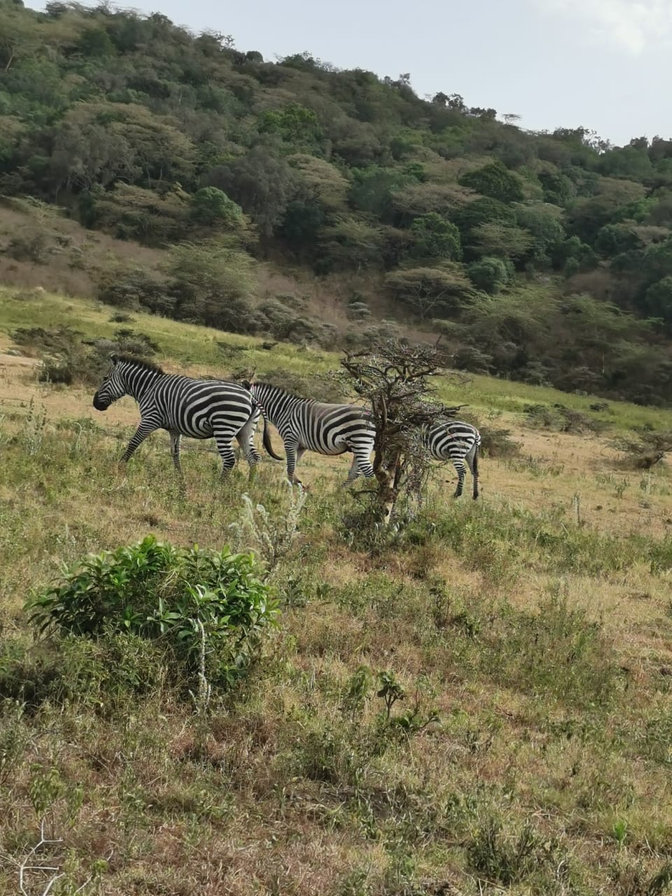 IMG-20220327-WA0036-min