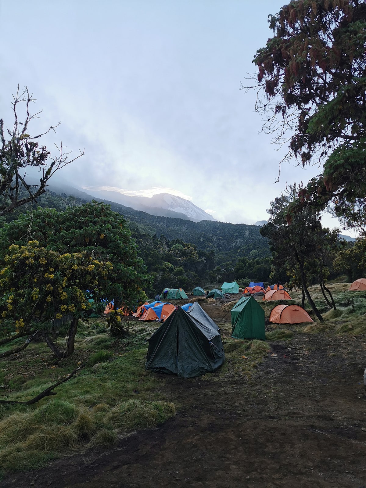 IMG_20210620_070225-min