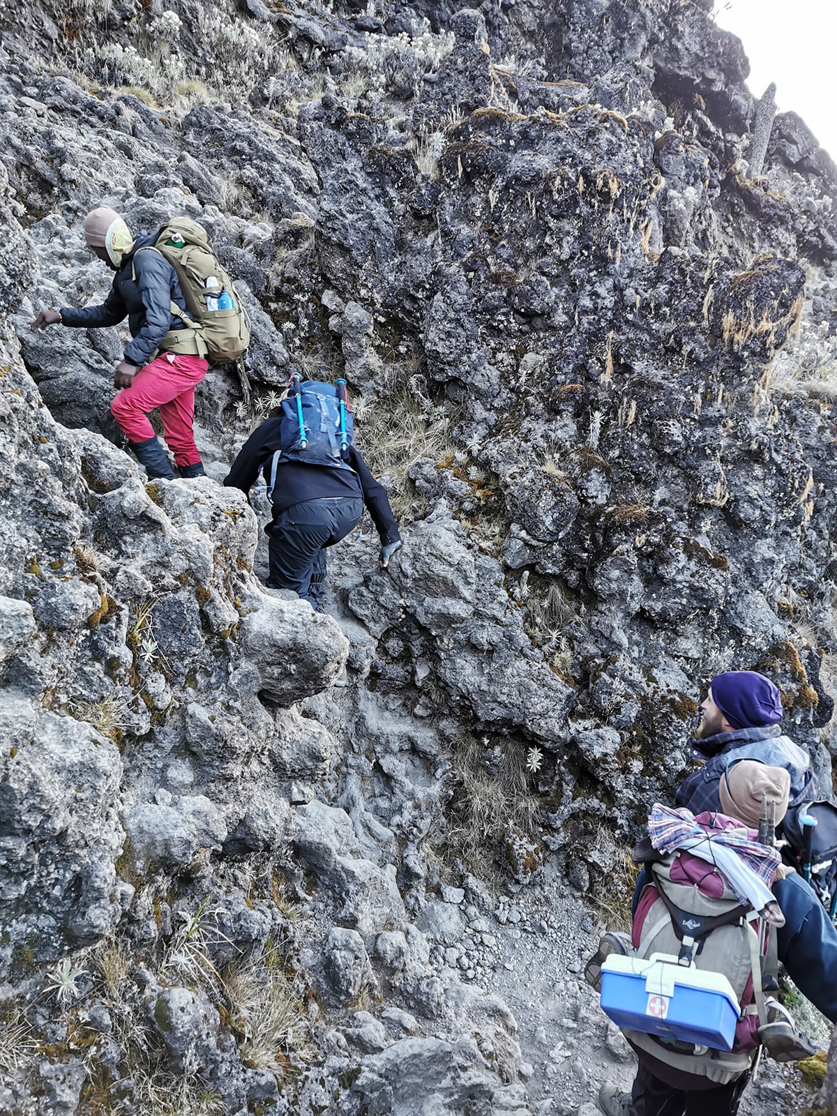 IMG_20210622_075026-min