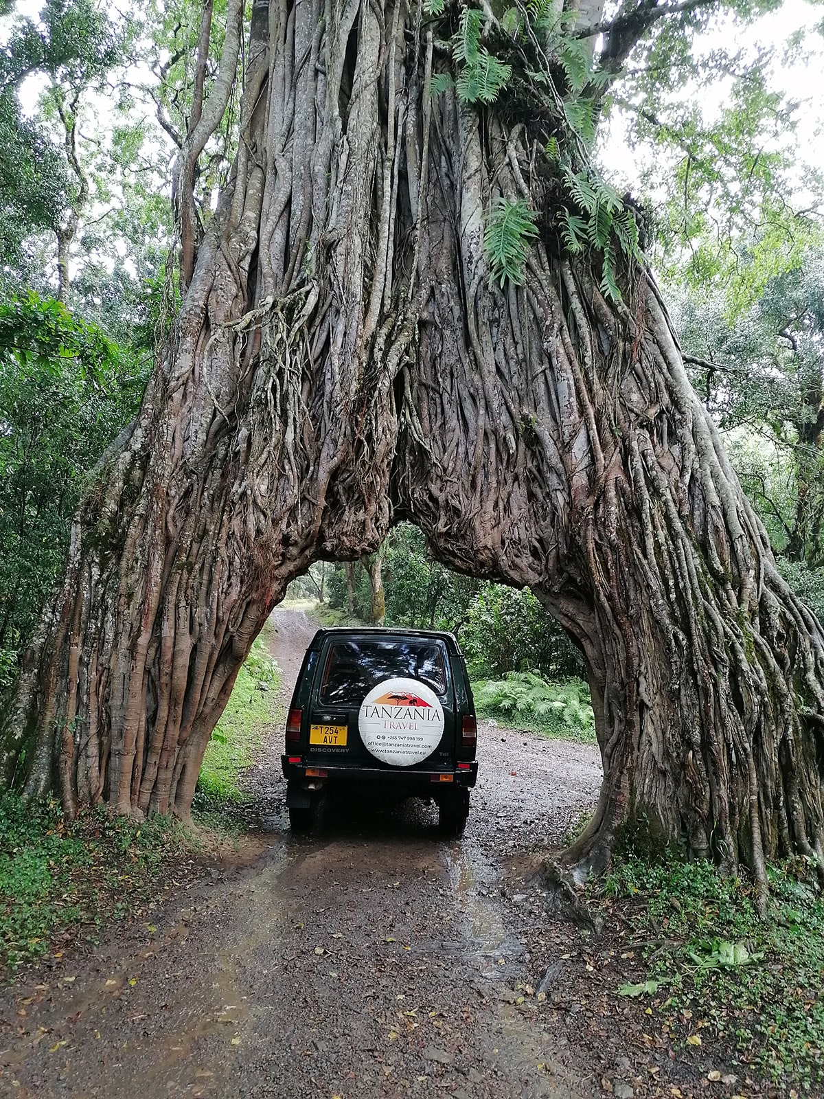 IMG_20220327_142929-min