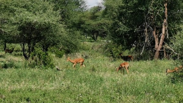 IMG_20191129_141516_Easy-Resize.com