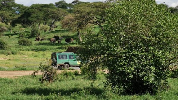 IMG_20191129_155631_Easy-Resize.com