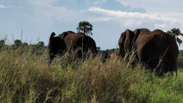 IMG_20191129_161830_Easy-Resize.com