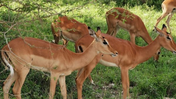 IMG_20191129_163557_Easy-Resize.com