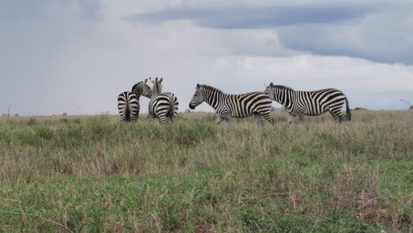 IMG_20191130_175950_Easy-Resize.com