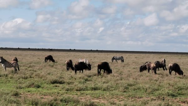 IMG_20191202_085815_Easy-Resize.com