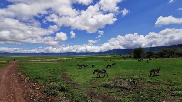 IMG_20191202_123642_Easy-Resize.com