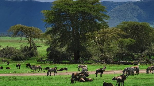 IMG_20191202_123704_Easy-Resize.com