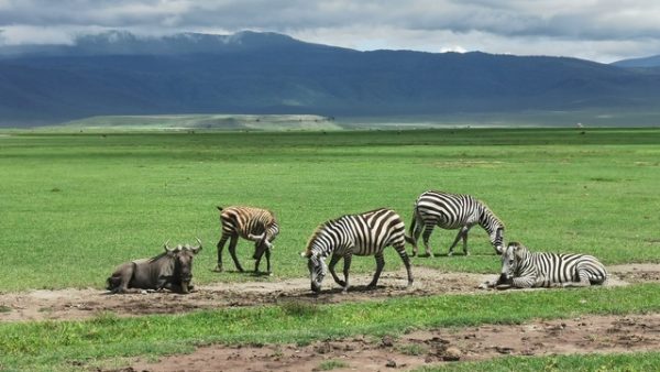 IMG_20191202_124811_Easy-Resize.com