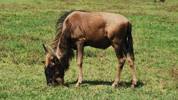 IMG_20191202_140433_Easy-Resize.com